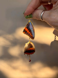 Chained Lowland Owl Butterfly Wings with Hessonite