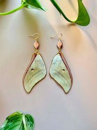 Real Luna Moth Wing Earrings with Pink Pearls