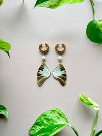 Real Five-Bar Swordtail Butterfly Wing Earrings with Pearls