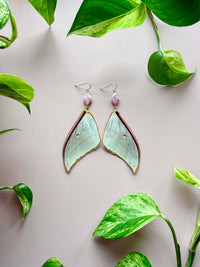 Real Luna Moth Wing Earrings with Pink Diamond Cut Pearls