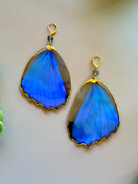 Larger Real Morpho Didius Butterfly Wing Earrings with Labradorite