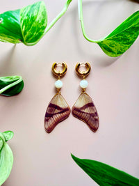 Real Eurytides Dolicaon Butterfly Wing Earrings with Moonstone