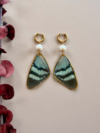Real Alcides Orontes Moth Wing Earrings with Edison Freshwater Pearls