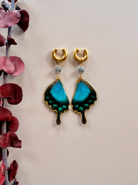 Real Papilio Lorquinianus Peacock Swallowtail Butterfly Wing Earrings with Labradorite