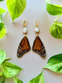 Real Monarch Butterfly Wing Earrings with Freshwater Pearls