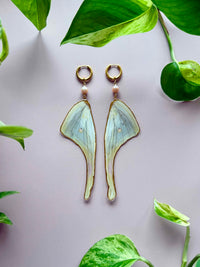 Real Luna Moth Wing Earrings with Pink Pearls