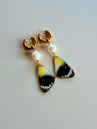 Real Timor Butterfly Wing Earrings with Edison Freshwater Pearls