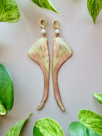Real Luna Moth Wing Earrings with Moonstone