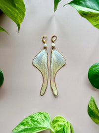 Real Luna Moth Wing Earrings with Moonstone