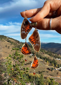 Chained Graphium Ridleyanus Butterfly Wings with Hessonite