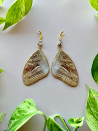 Real Caligo Memnon Owl Butterfly Wing Earrings with Mother of Pearl