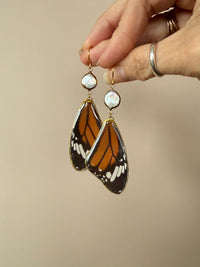 Real Monarch Butterfly Wing Earrings with Freshwater Pearls