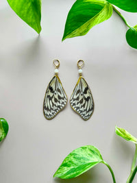 Real Paper Kite (Idea Leuconoe) Butterfly Wing Earrings with Moonstone