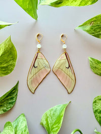 Real Luna Moth Wing Earrings with Moonstone