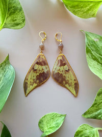Real Silk Moth (Actias Maenas) Wing with Chocolate Moonstone