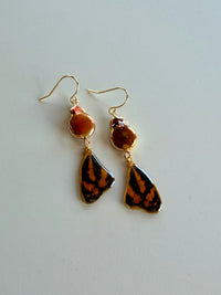 Real Common Jester Butterfly Wing Earrings with Copper Pearls