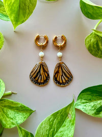 Real Monarch Butterfly Wing Earrings with Freshwater Pearl