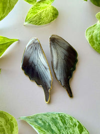 Real Graphium Codrus Olive Triangle Butterfly Wing Studs