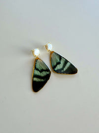 Real Alcides Orontes Moth Wing Pearl Stud Earrings