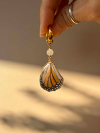 Real Monarch Butterfly Wing Earrings with Moonstone
