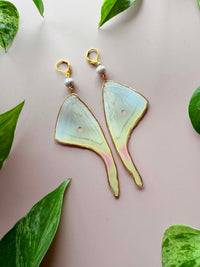 Real Luna Moth Wing Earrings with Silver-Toned Pearls