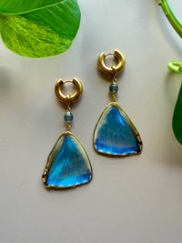 Real Morpho Zephyritis butterfly Butterfly Wing Earrings with Labradorite