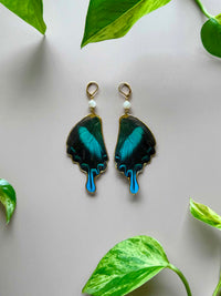 Real Papilio Blumei Peacock Swallowtail Butterfly Wing Earrings with Moonstone