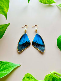 Real Papilio Blumei Peacock Swallowtail Butterfly Wing Earrings with Freshwater Pearls