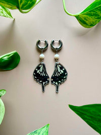 Real Asian Swallowtail Butterfly Wing Earrings with Freshwater Pearls