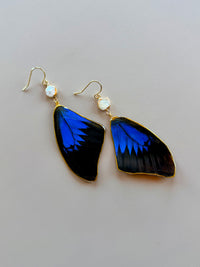 Real Papilio Lorquinianus Peacock Swallowtail Butterfly Wing Earrings with Pearls