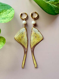 Real Luna Moth Wing Earrings with Moonstone