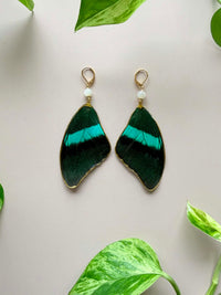 Real Paper Kite Butterfly Wing Earrings with Moonstone
