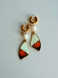 Real Yellow Orange Tip Butterfly Wing Earrings with Edison Freshwater Pearls