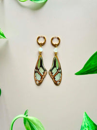 Real Green Longwing (Philaethria Dido) Butterfly Wing Earrings with Moonstone