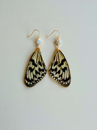 Real Paper Kite (Idea Leuconoe) Butterfly Wing Earrings with Freshwater Pearls