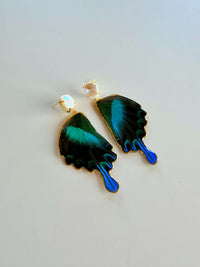 Real Papilio Blumei Peacock Swallowtail Butterfly Wing Pearl Stud Earrings