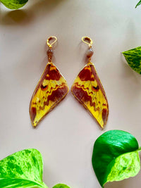 Real Silk Moth (Actias maenas) Wing with Chocolate Moonstone Earrings