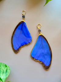 Larger Real Morpho Didius Butterfly Wing Earrings with Labradorite