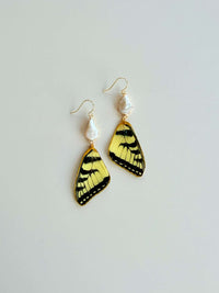 Real Tiger Swallowtail Butterfly Wing Earrings with Pearls