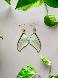 Real Luna Moth Wing Earrings with Pink Diamond Cut Pearls