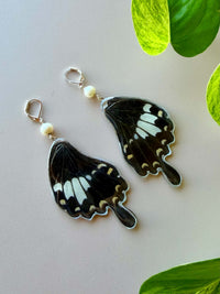 Real Papilio Nephelus Swallowtail Butterfly Wing Earrings with Freshwater Pearls