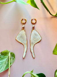 Real Luna Moth Wing Earrings with Silver-Toned Pearls