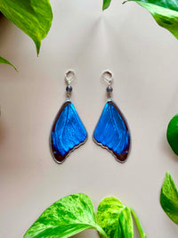 Real Morpho Didius Butterfly Wing Earrings with Labradorite