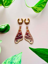 Real Red Saturn Moth Wing Earrings with Chocolate Moonstone