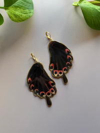 Real Papilio Deiphobus Swallowtail Butterfly Wing Earrings