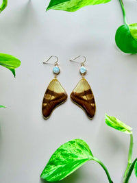 Real Serville's Swallowtail (Eurytides Serville) Butterfly Wing Earrings with Pearls