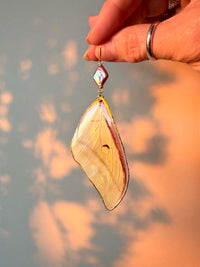 Real Luna Moth Wing Earrings with Pink Pearls