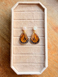Real Monarch Butterfly Wing Earrings with Freshwater Pearl Studs