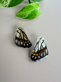 Real Butterfly Wing Stud Earrings (please read description)