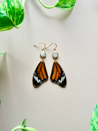 Real Monarch Butterfly Wing Earrings with Freshwater Pearls